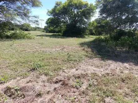 Terreno en vanta Urbanización Pentaguazú V